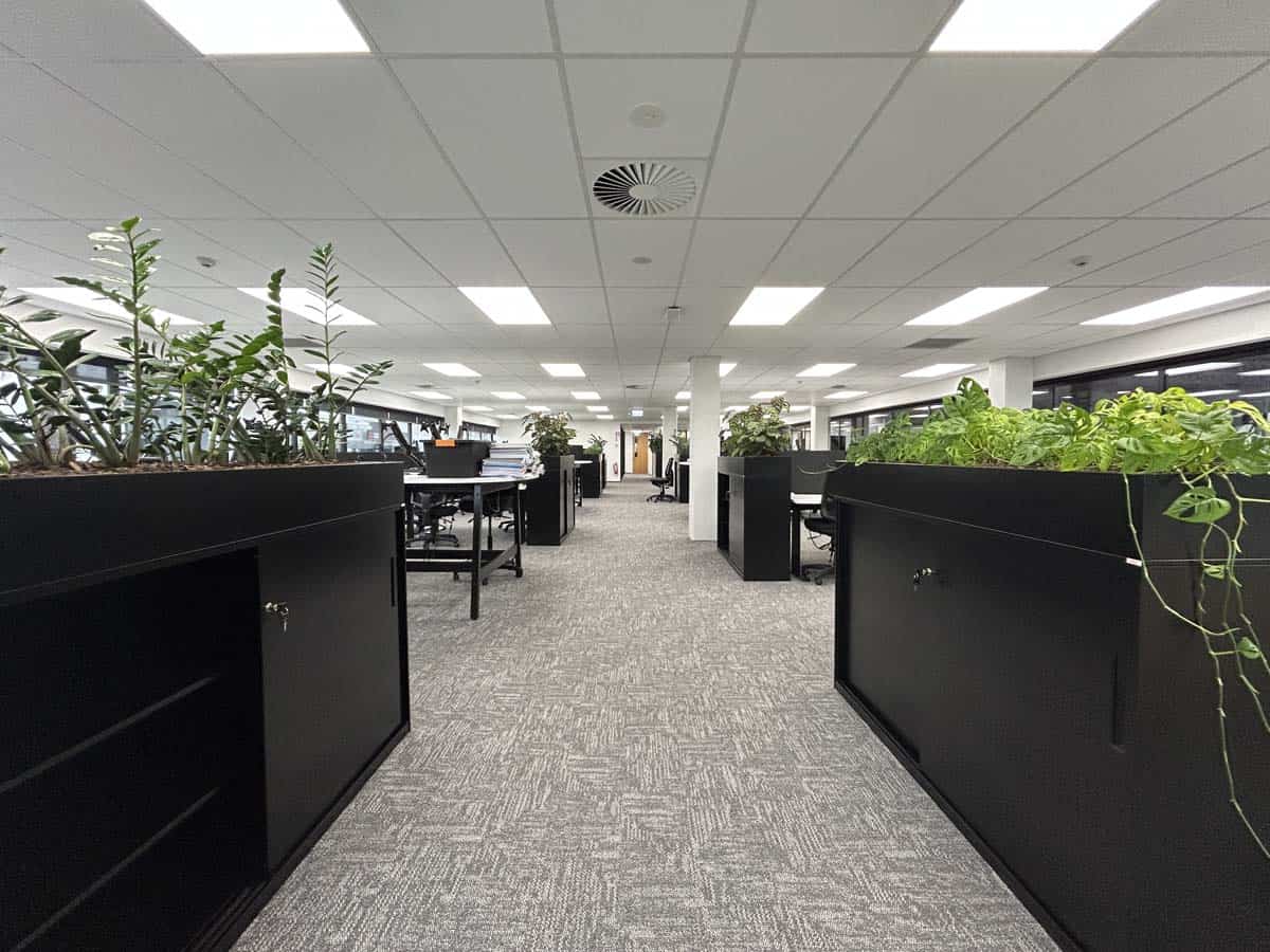 Bright modern office space with plants and workstations.
