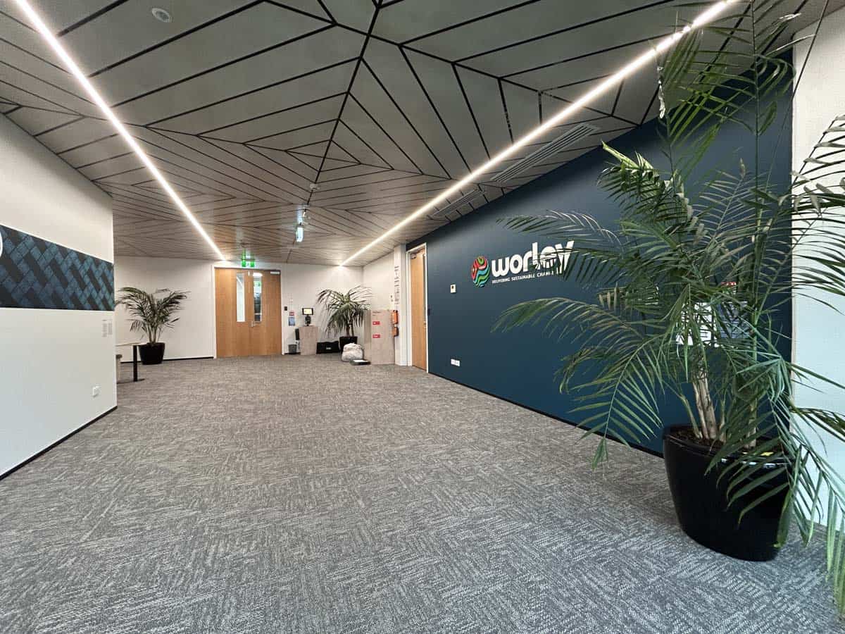 Modern office lobby with geometric ceiling design and potted plants.