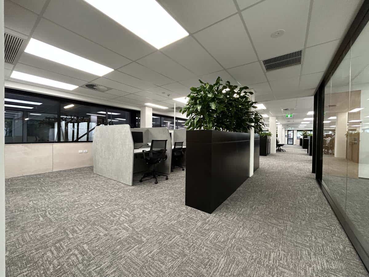 Modern office workspace with plants and workstations.