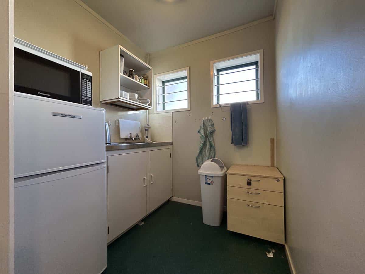 Small kitchen with microwave, white cabinets, two windows, and a trash bin.