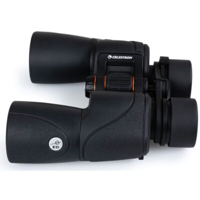 Orion Nebula in 2026