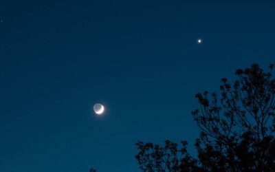 What Can You See in the Night Sky Tonight?