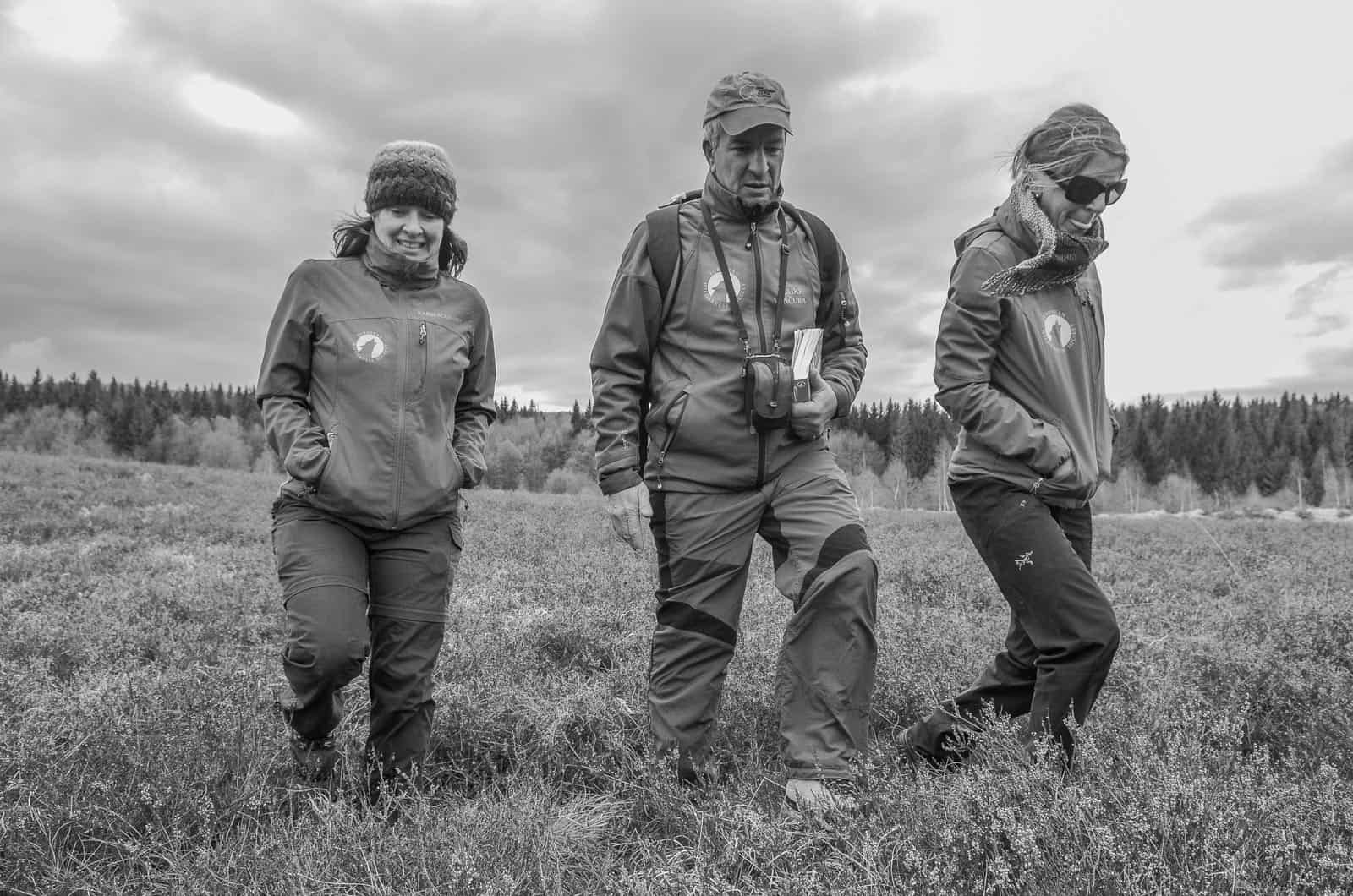 Zacharovanyy Kray Mihovics Mihaly 8944.JPG