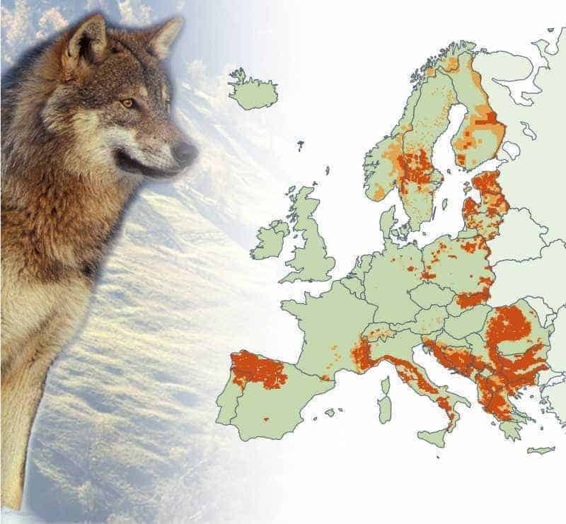 The Role of Austria in Nature Conservation in the Balkans and Romania