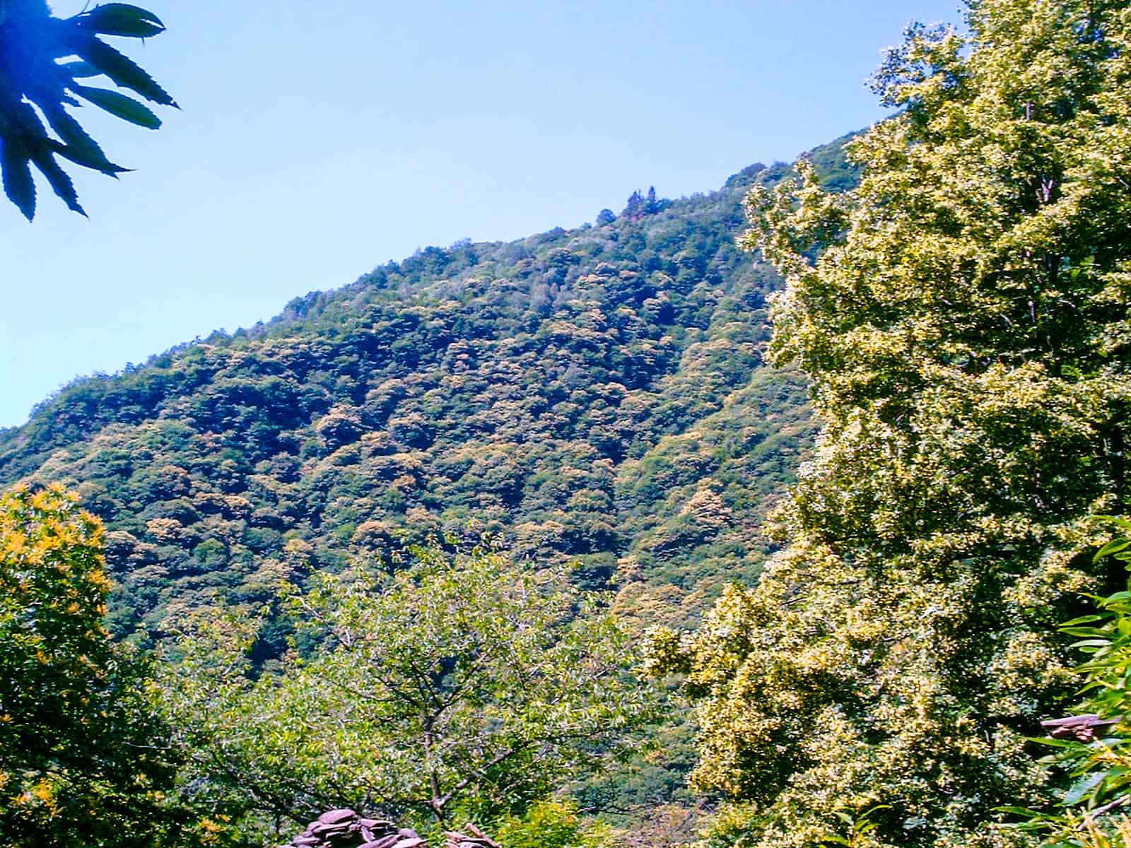 Val Grande 2005_Patrizia Digiovinazzo_0031.JPG