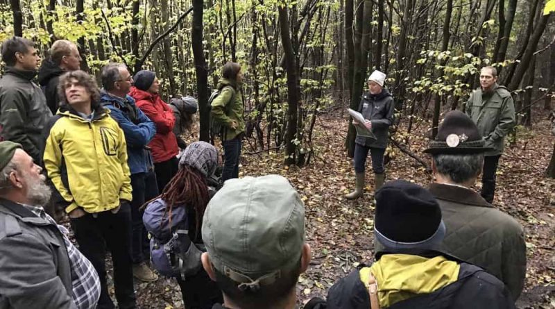 Natura 2000 in Beech Forest Workshop