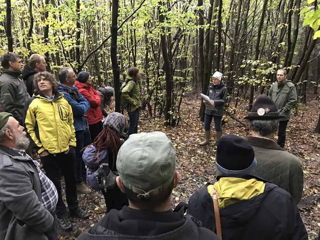 Natura 2000 in Beech Forest Workshop