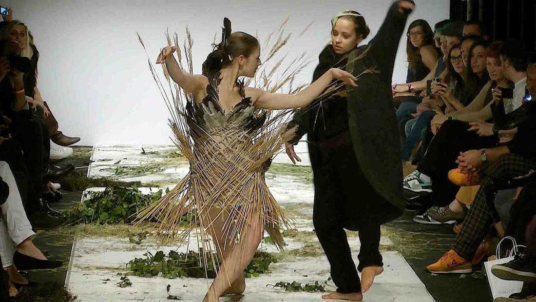 Wilderness Arts, Fashion and Dance