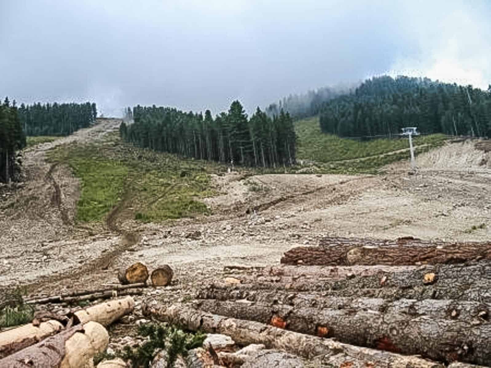 Pirin National Park_-18.jpg