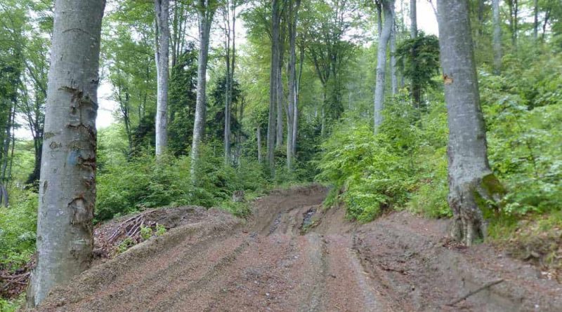 Confusing messages from Bulgaria