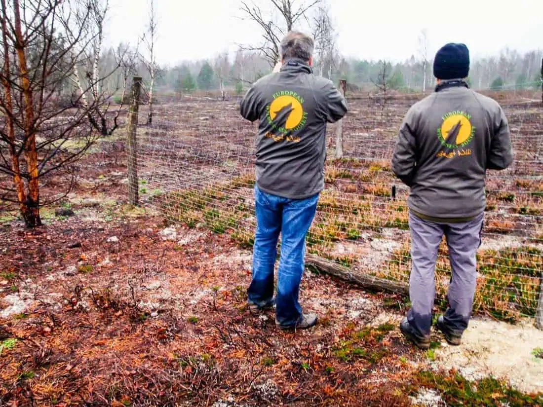 11 Meetings in 3 countries: Busy weeks before christmas