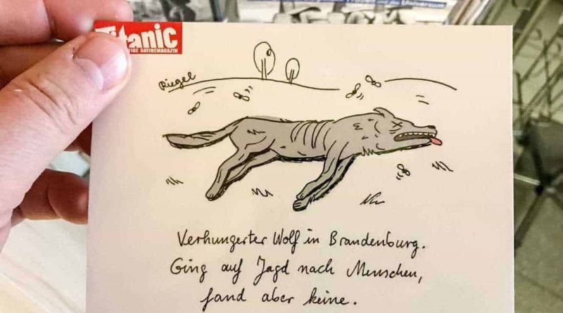 Beech Forest Network of Europe Workshop - update and new pics!