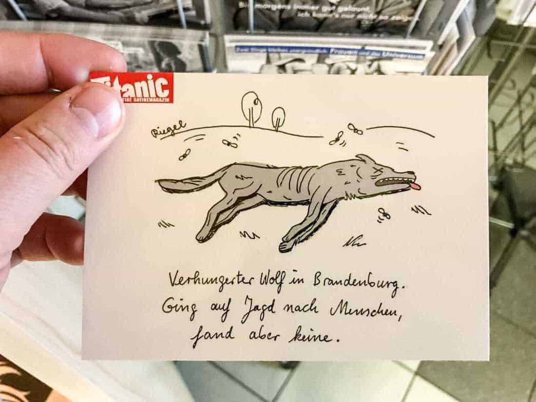 Beech Forest Network of Europe Workshop - update and new pics!