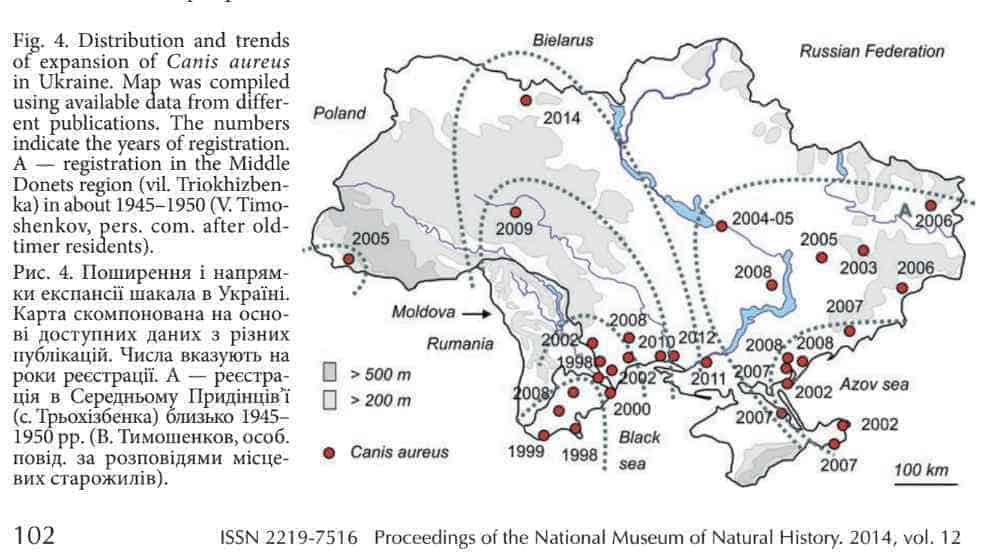 Golden Jackal expansion into the Ukraine