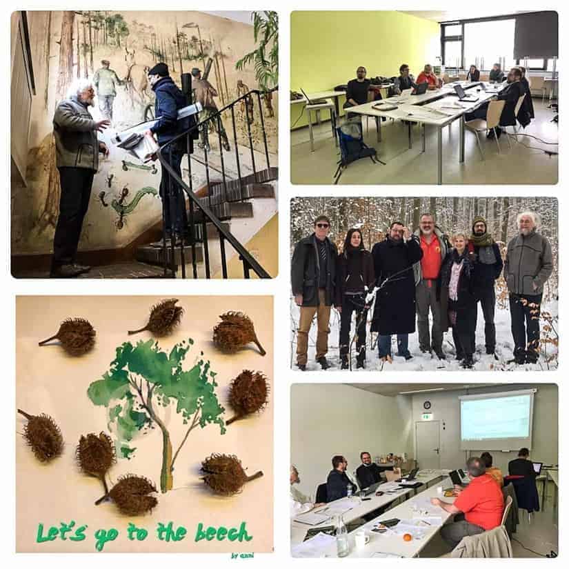 Beech Forest Meeting in FH Eberswalde