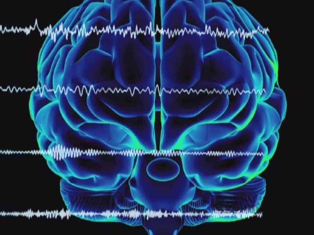 Our brain needs wilderness!