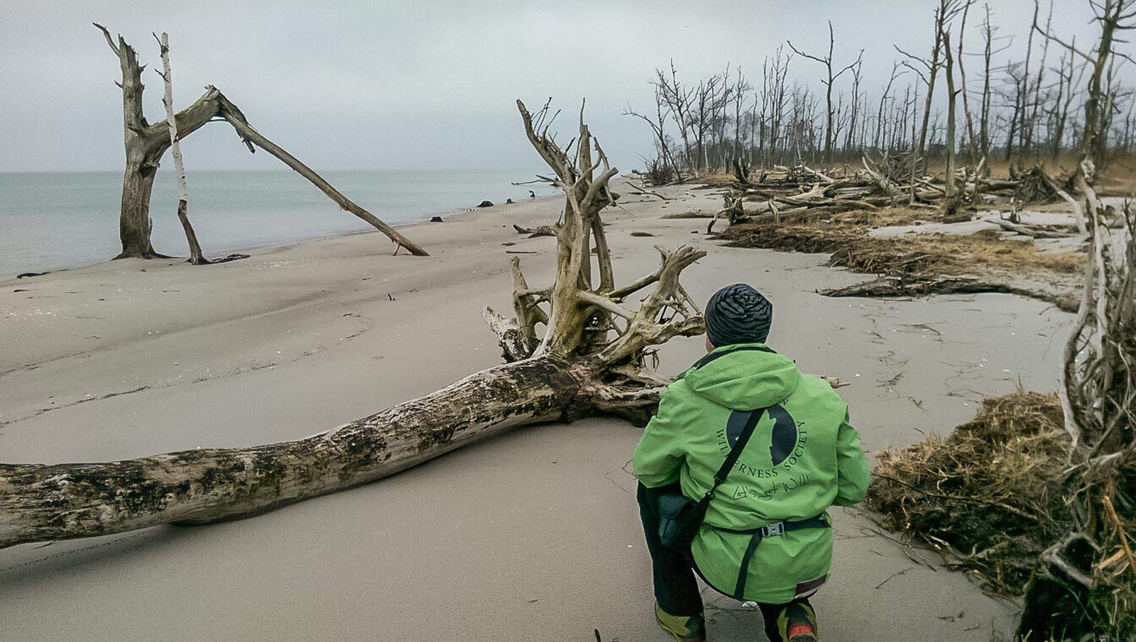 Vorpommersche Boddenlandschaft-3962.jpg