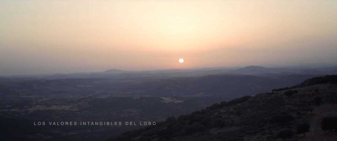 Iberian Wolf documentary: La Emocion Del Lobo