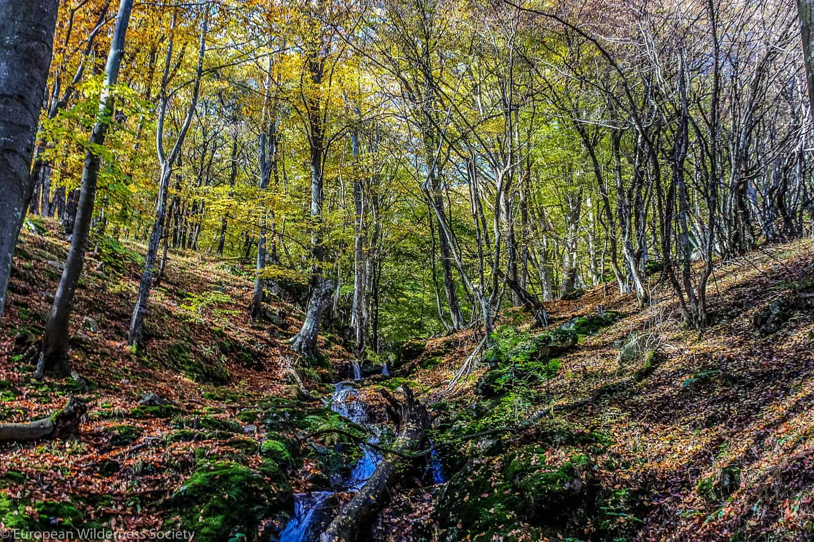 Central Balkan Wilderness - 2.jpg