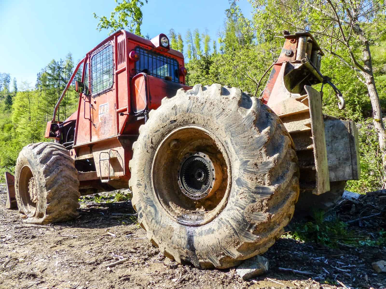 Deforestation Romania Hannes Knapp 0078.JPG
