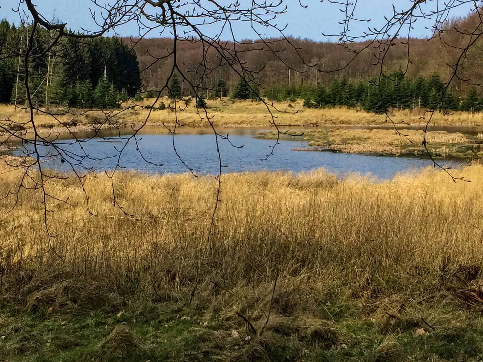 Jasmund National Park-3352.jpg