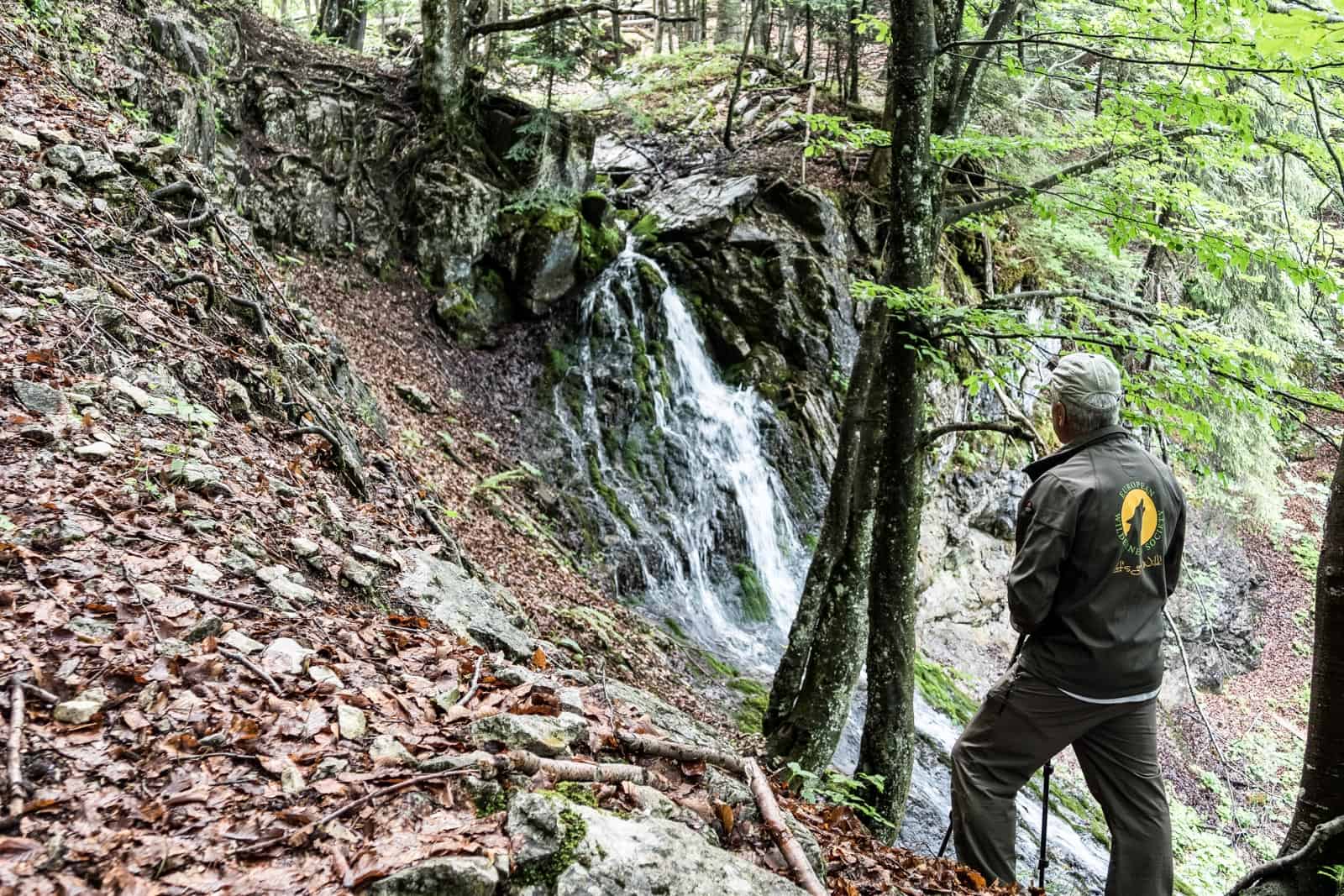 Kalkalpen Wilderness 129-2.jpg