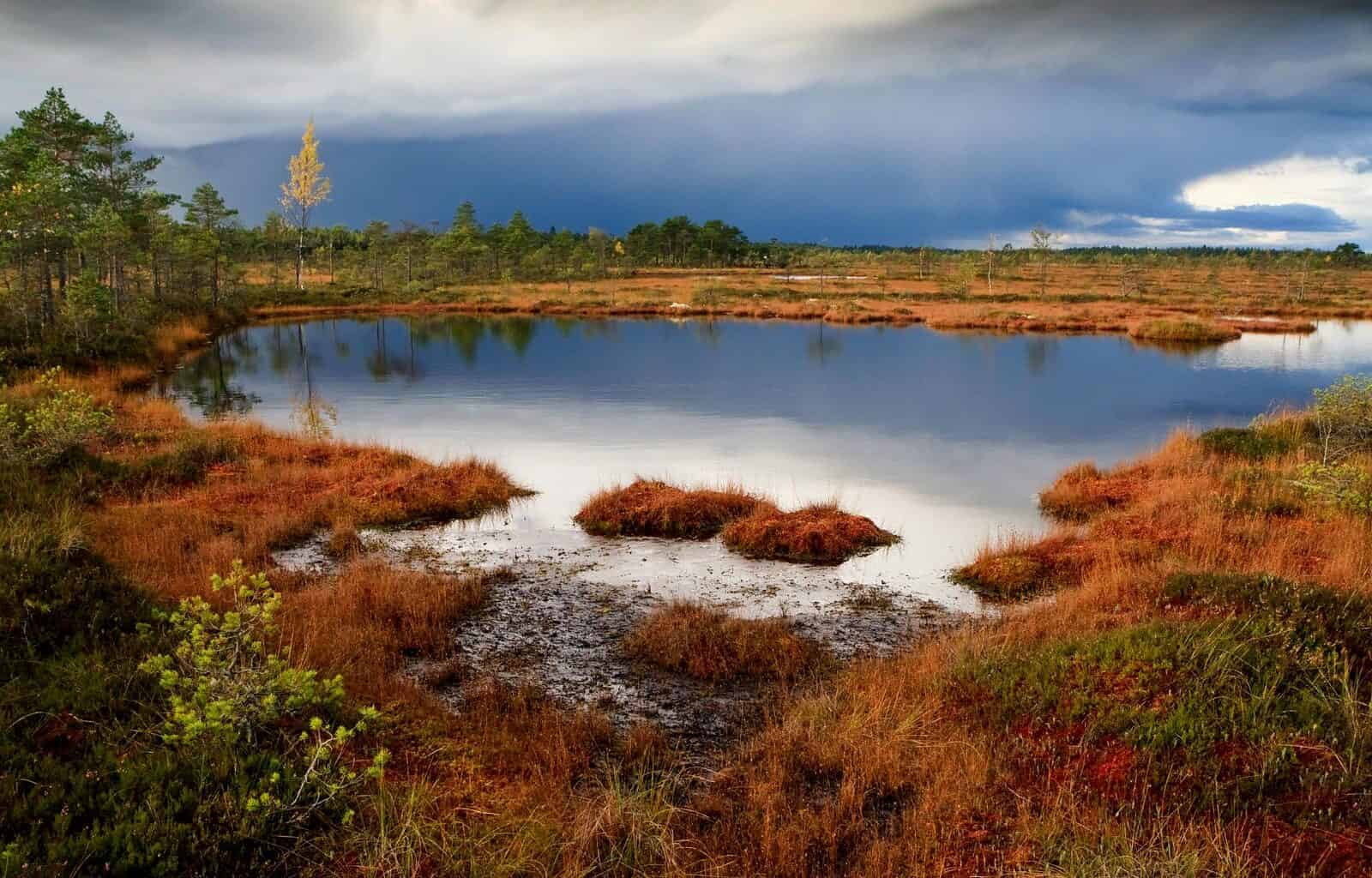 Sooma National Park-2299.jpg