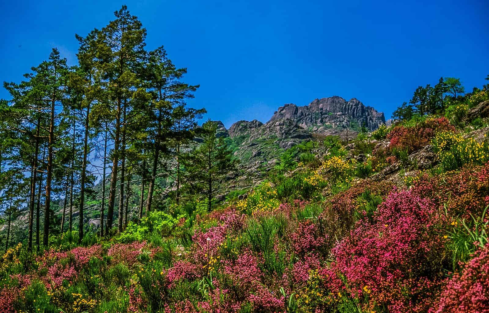 Peneda Geres National Park-1010.jpg