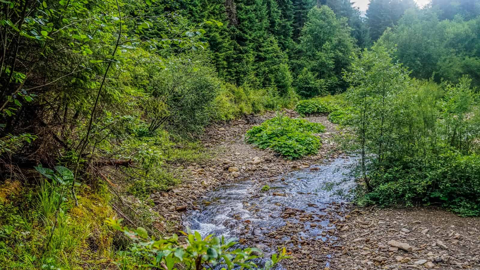 Synevyr National Park 0927.JPG