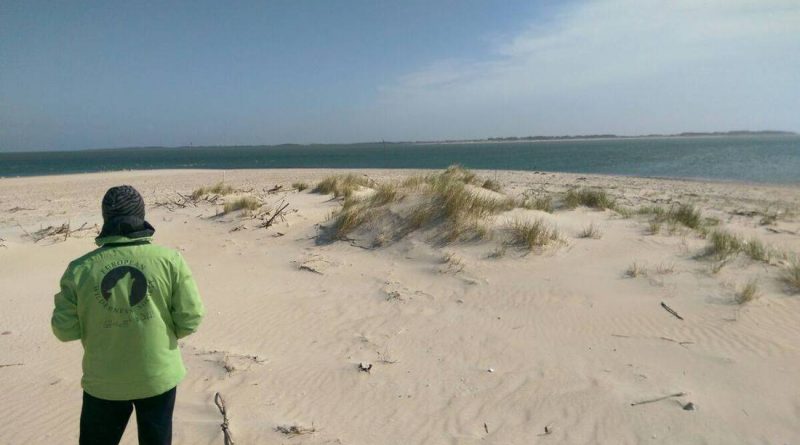 WILDIsland Amrum North Sea 01