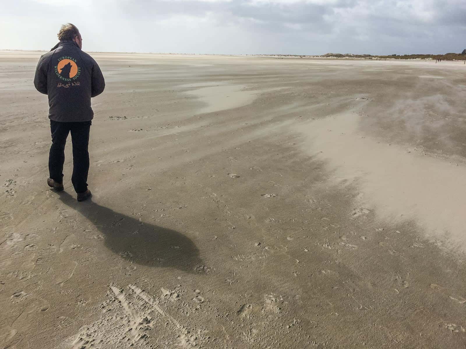 WILDCoast Amrum North Sea-02-6.jpg