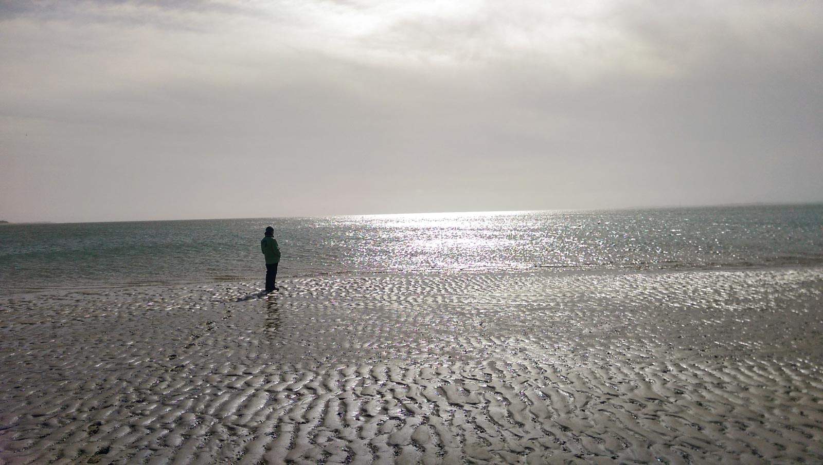 WILDCoast Amrum North Sea-4484.jpg