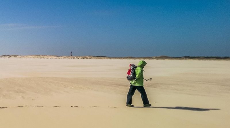 WILDCoast Amrum North Sea-4560.jpg