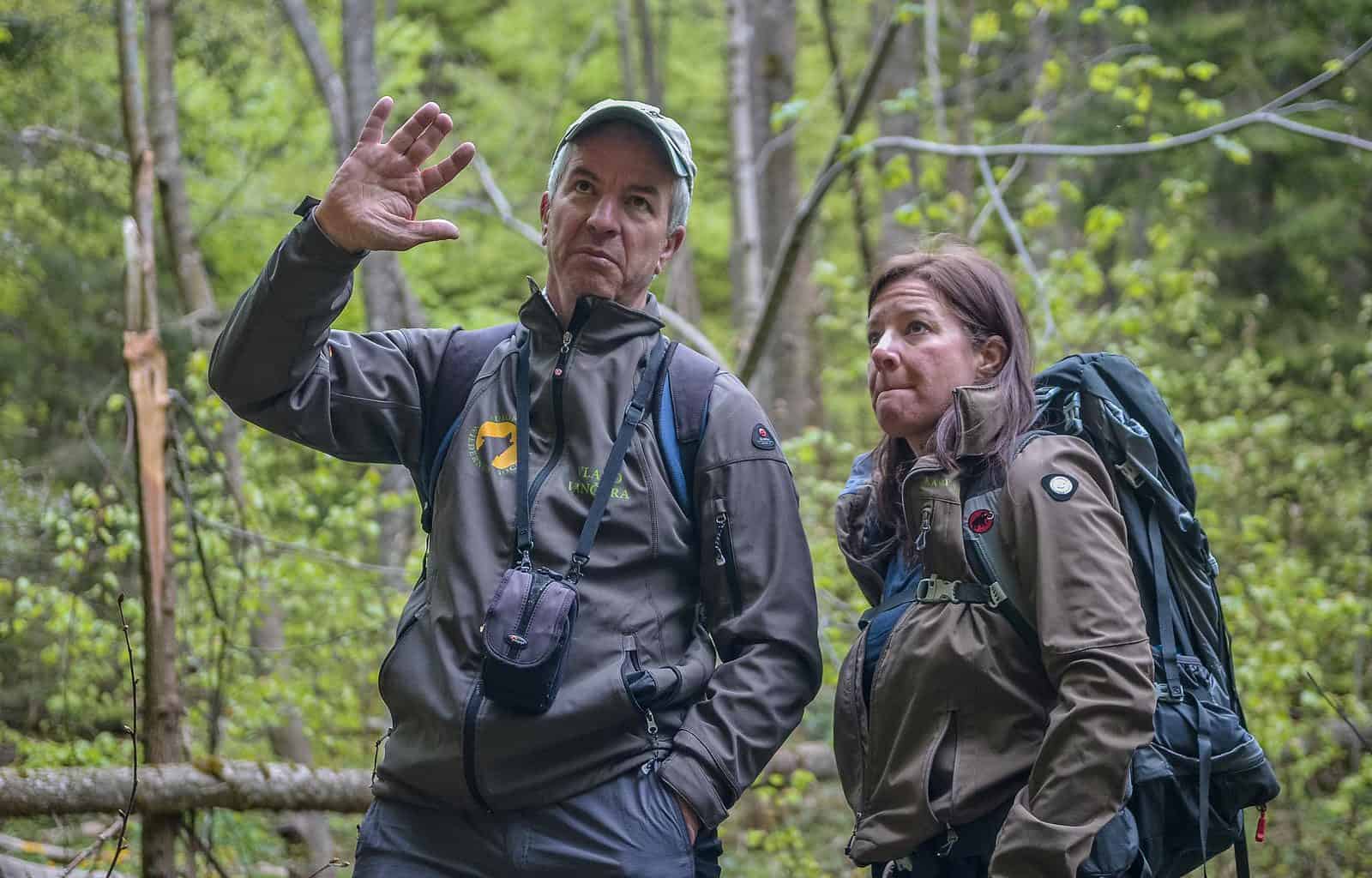 Zacharovanyy Kray Mihovics Mihaly 8577.JPG