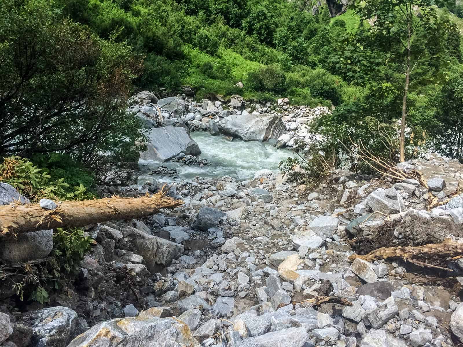 Hohe Tauern WIlderness Exkursion 2017 0047.jpg