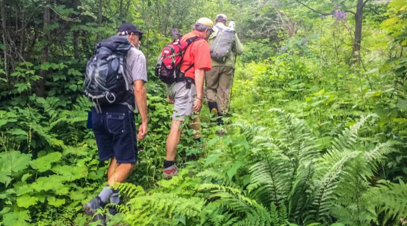 Hohe Tauern WIlderness Exkursion 2017 0051.jpg