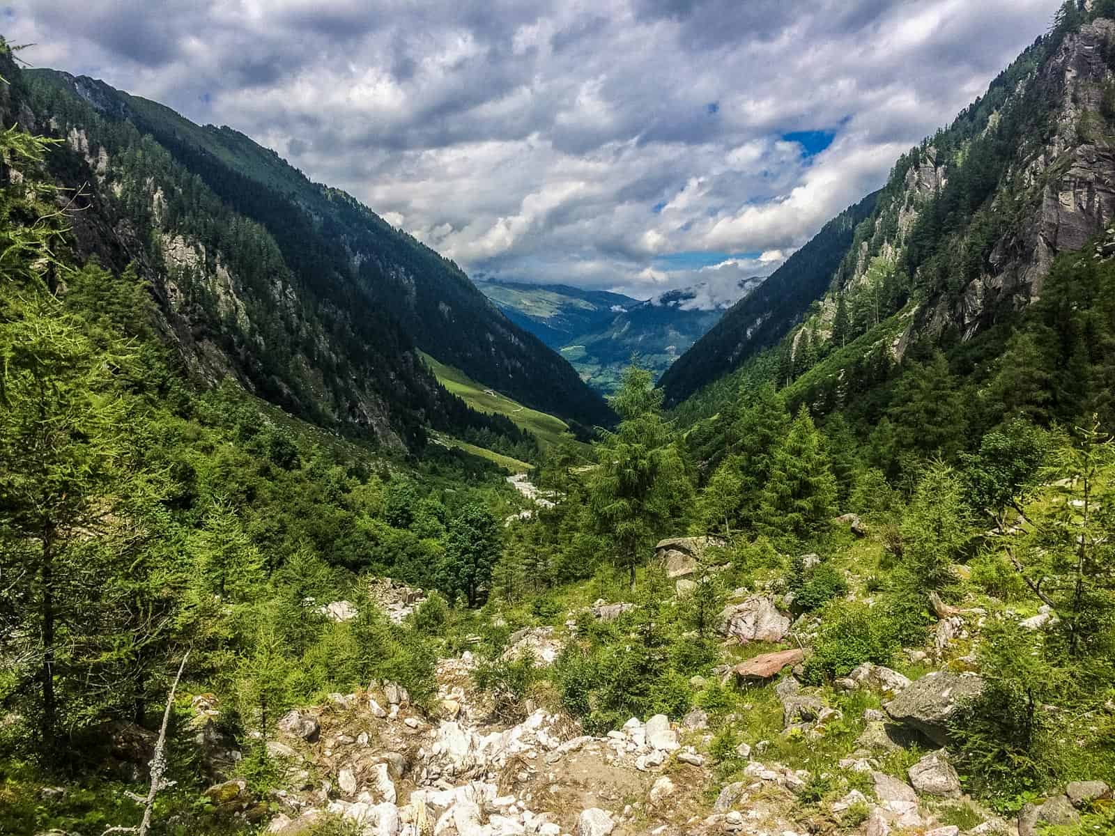 Hohe Tauern WIlderness Exkursion 2017 0054.jpg