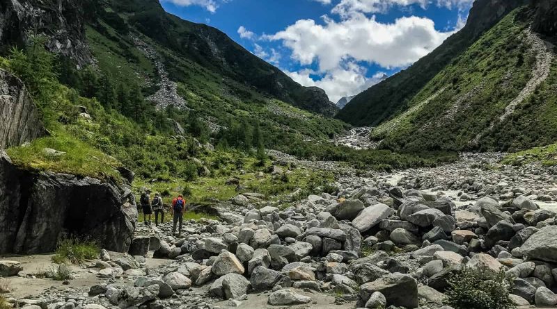 Hohe Tauern WIlderness Exkursion 2017 0073.jpg