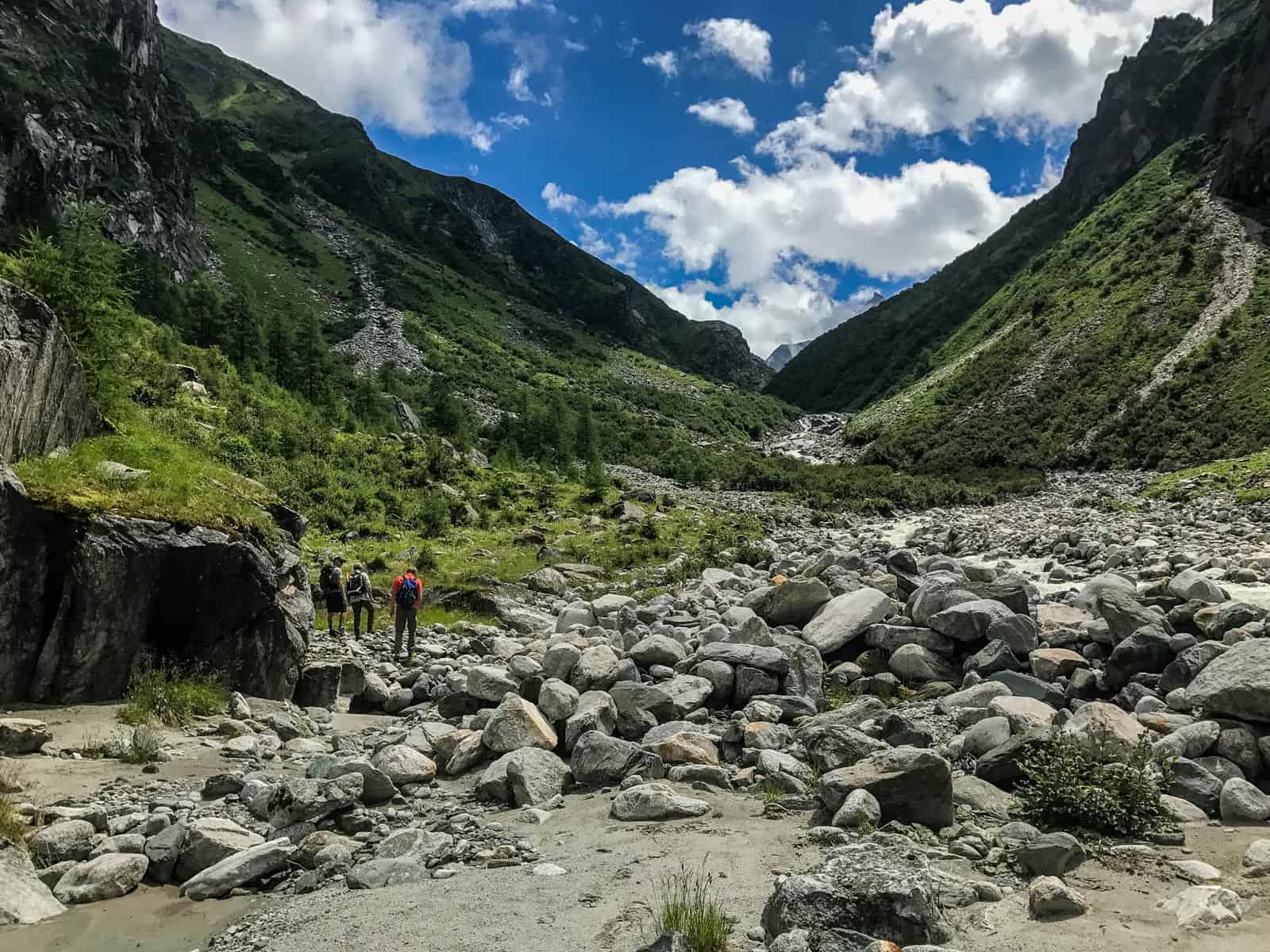 Hohe Tauern WIlderness Exkursion 2017 0073.jpg