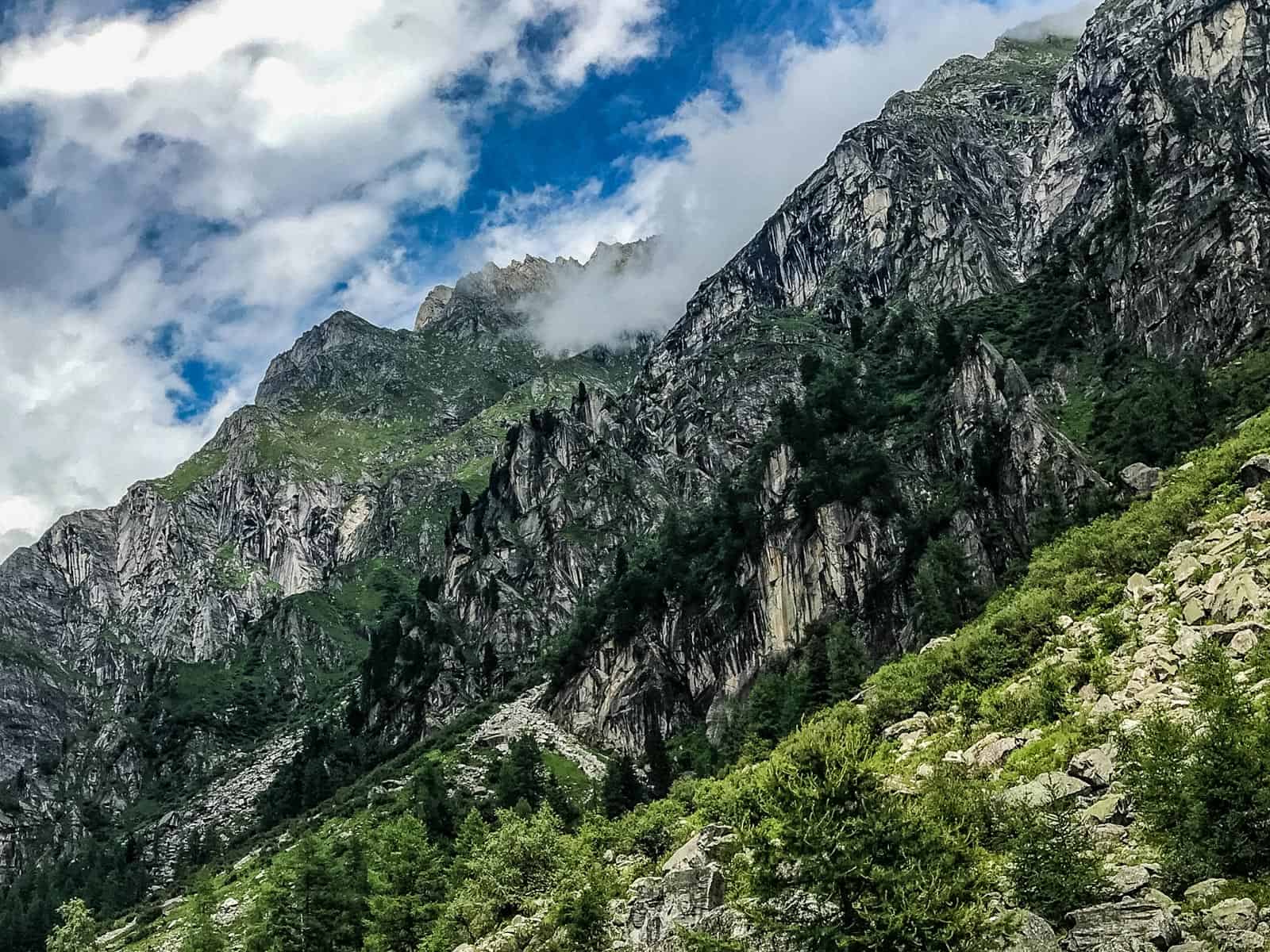 Hohe Tauern WIlderness Exkursion 2017 0078.jpg