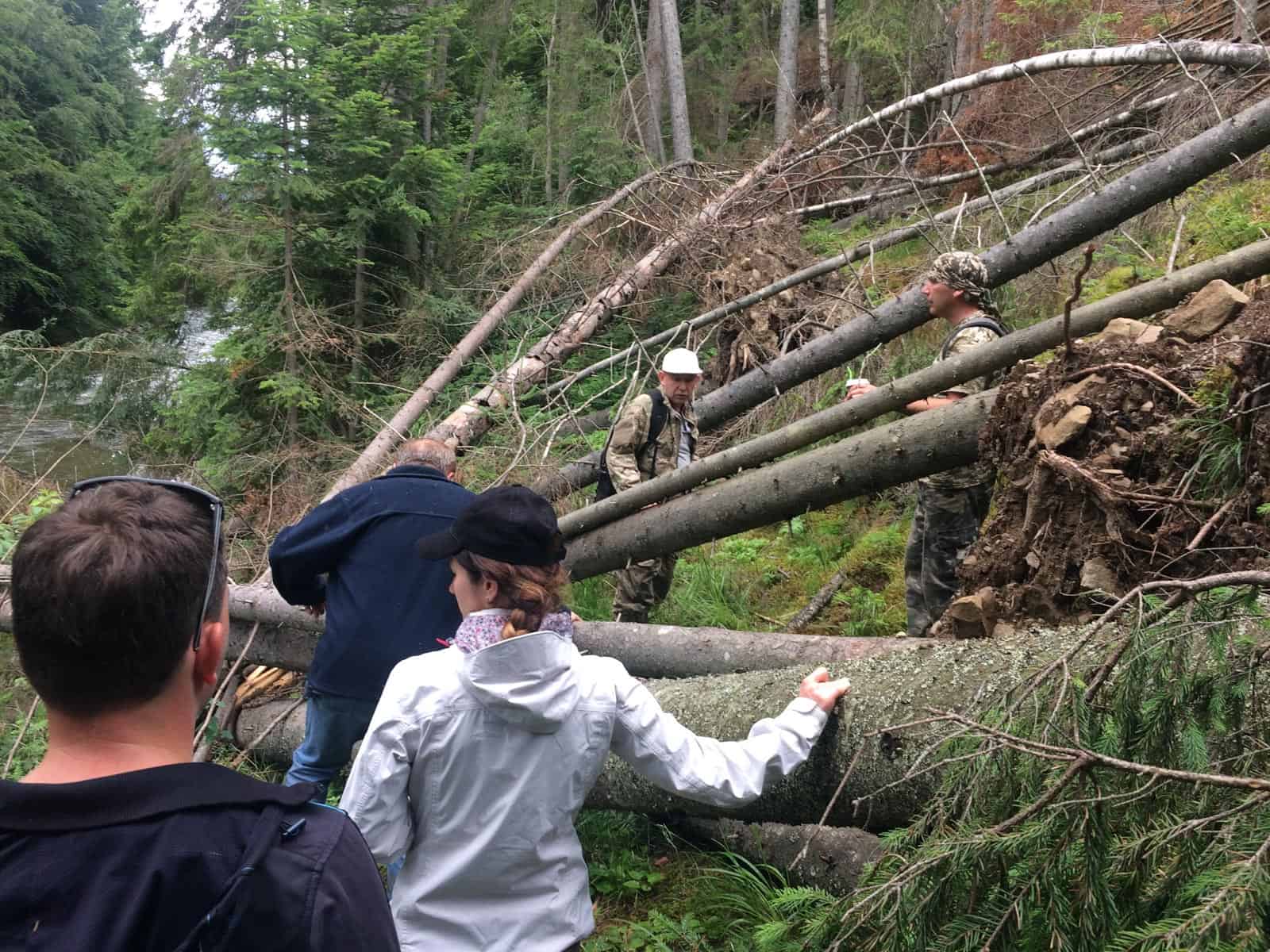 Ukraine Sanitary Logging Analysis 0096.jpg