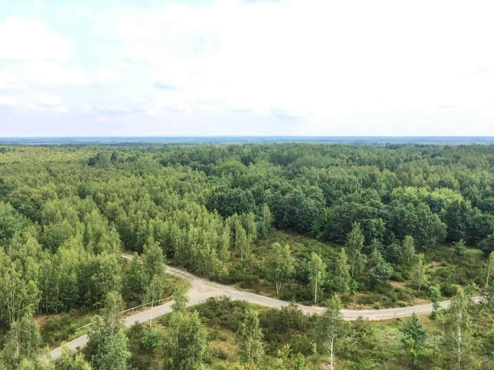 Koenigsbruecker Heide _ 011.jpg