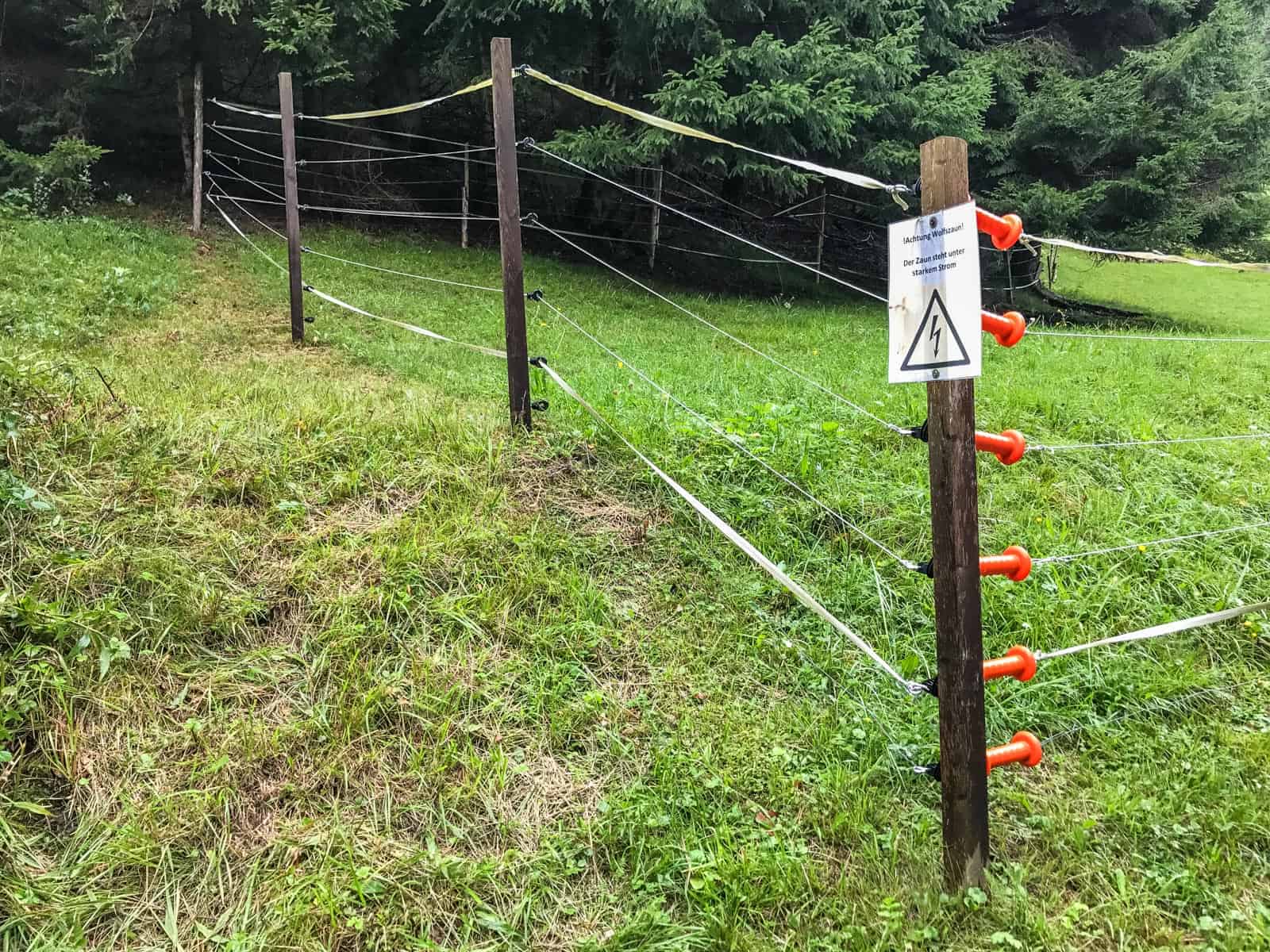 Livestock Protection - 7668.JPG