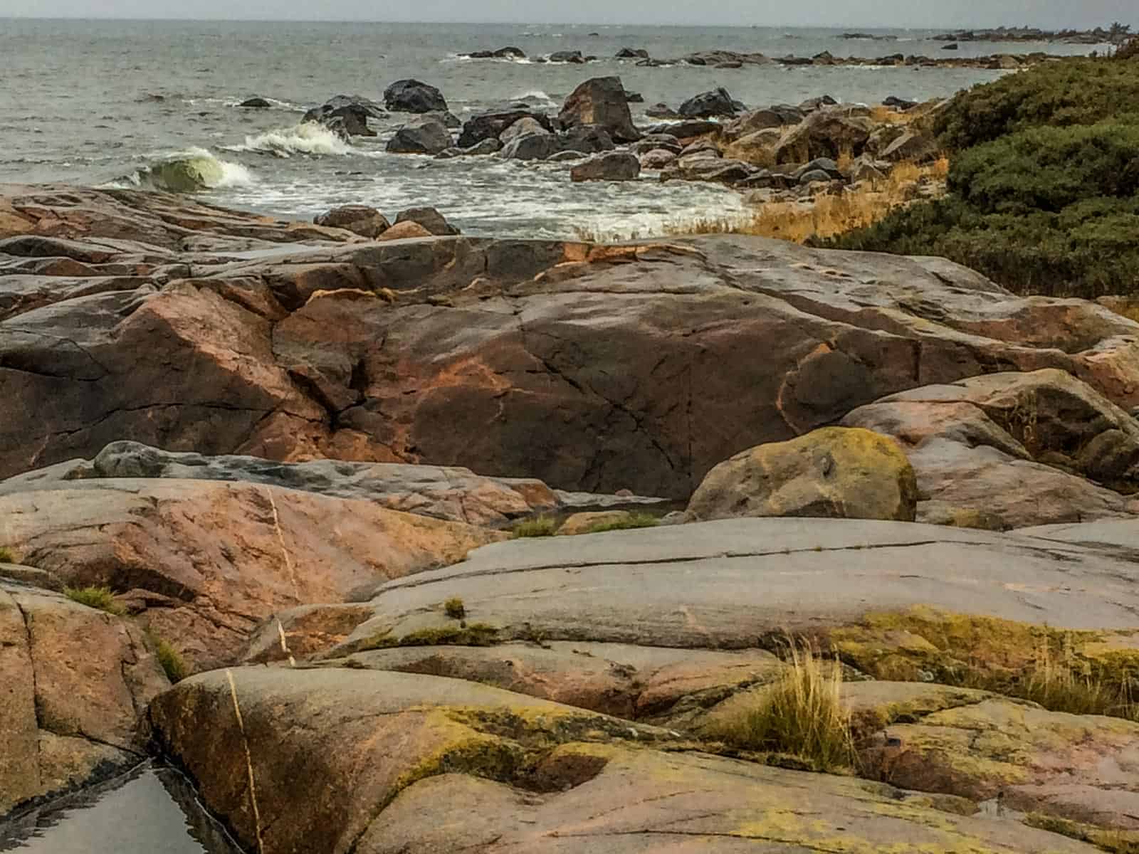 2017-10-14 12.17.48.jpg