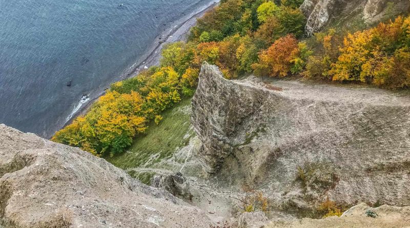 European Beech Forest Network Vilm 2017 0193.jpg