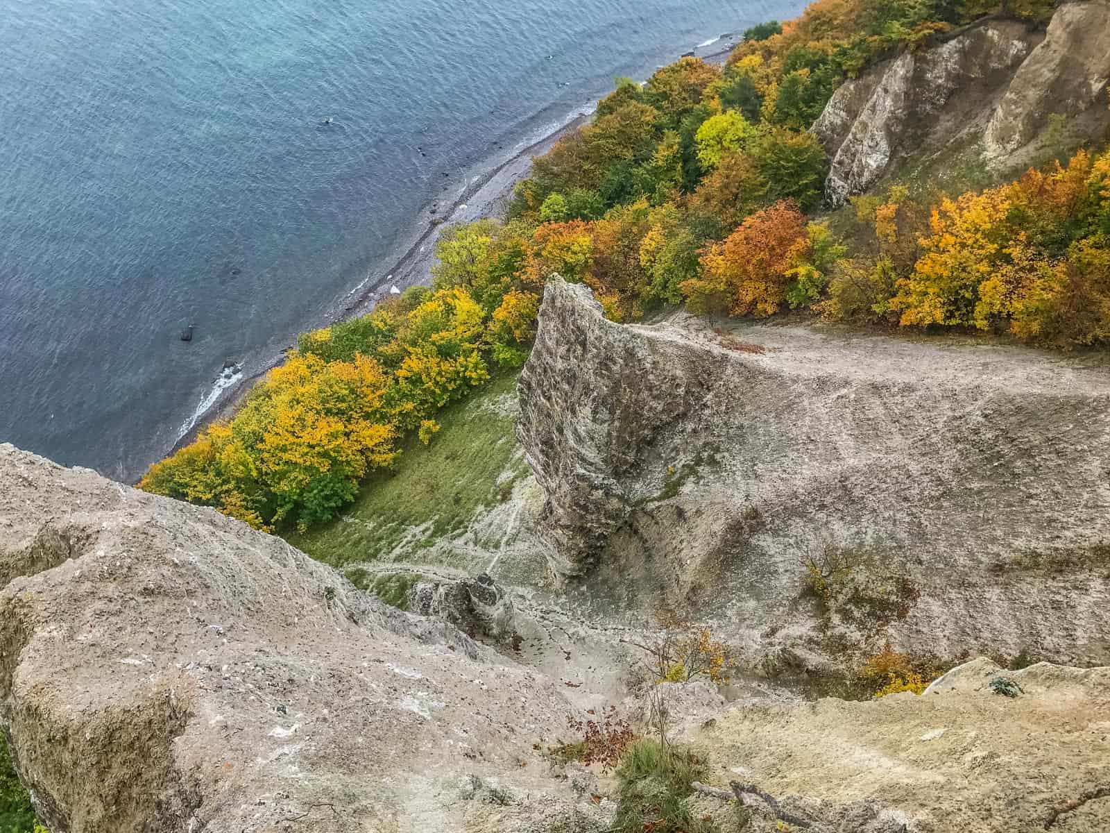 European Beech Forest Network Vilm 2017 0193.jpg