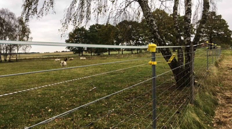 Herd management Northern Germany01.JPG
