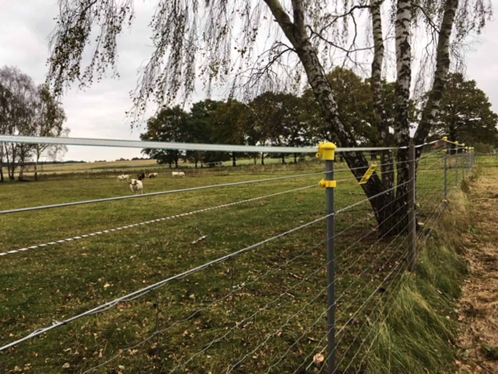 Herd management Northern Germany01.JPG