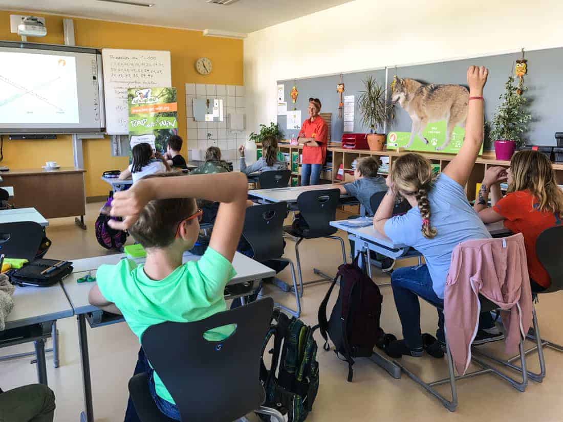 Lets get Wild NIMS Tamsweg - © All rights reserved