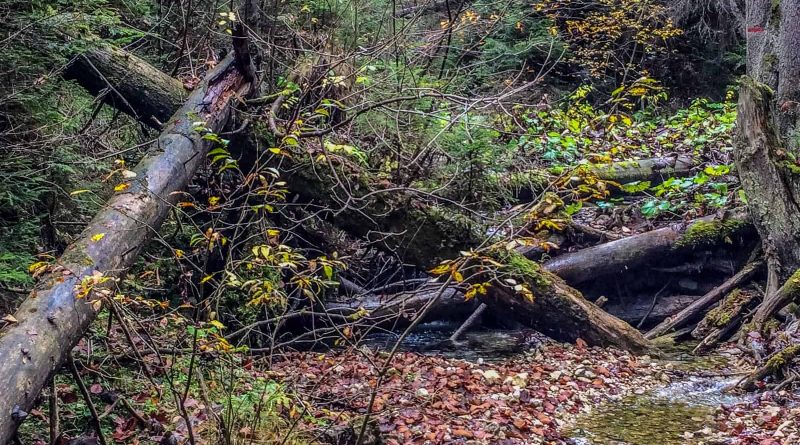 Tourism Slovenský raj National Park - 0285.jpg